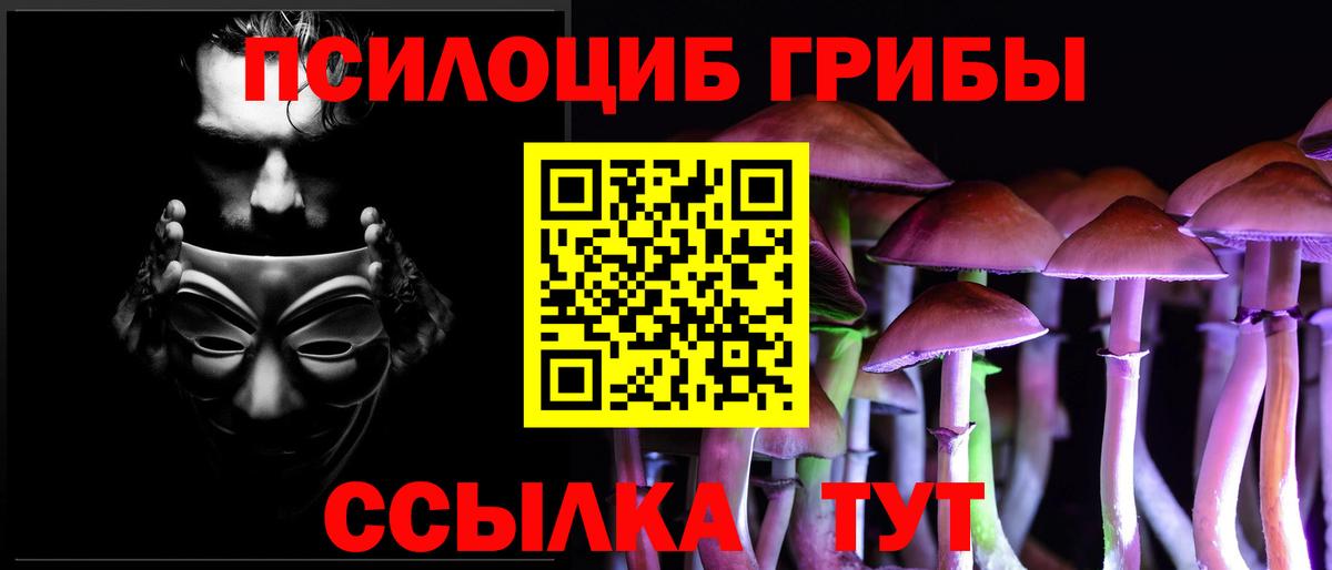 Галлюциногенные грибы Psilocybine cubensis Калуга